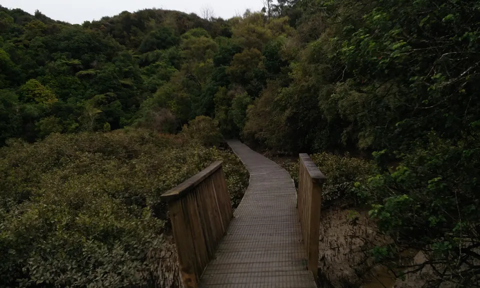 Mangemangeroa Track, Auckland