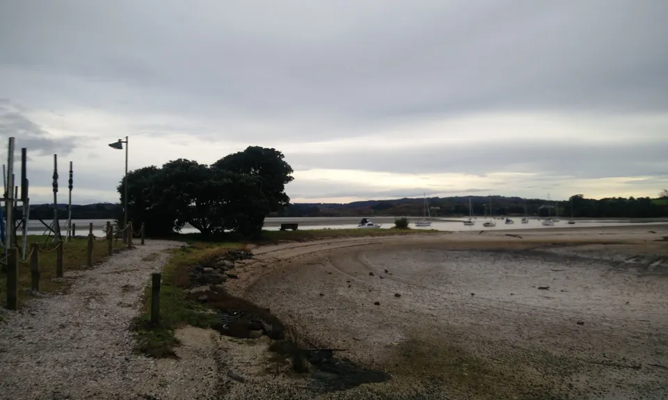 Mangemangeroa Track, Auckland