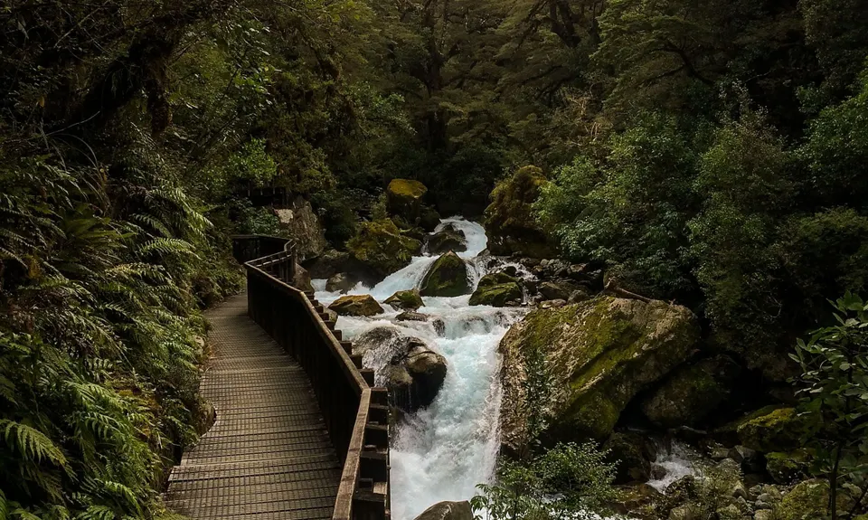 Lake Marian Meander, Southland