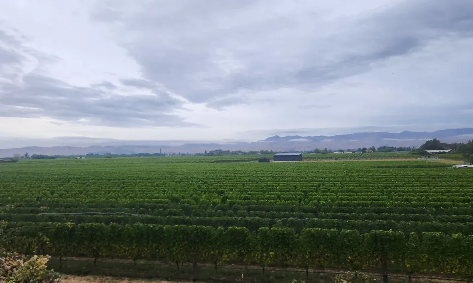 Marlborough Wine Trail, Marlborough