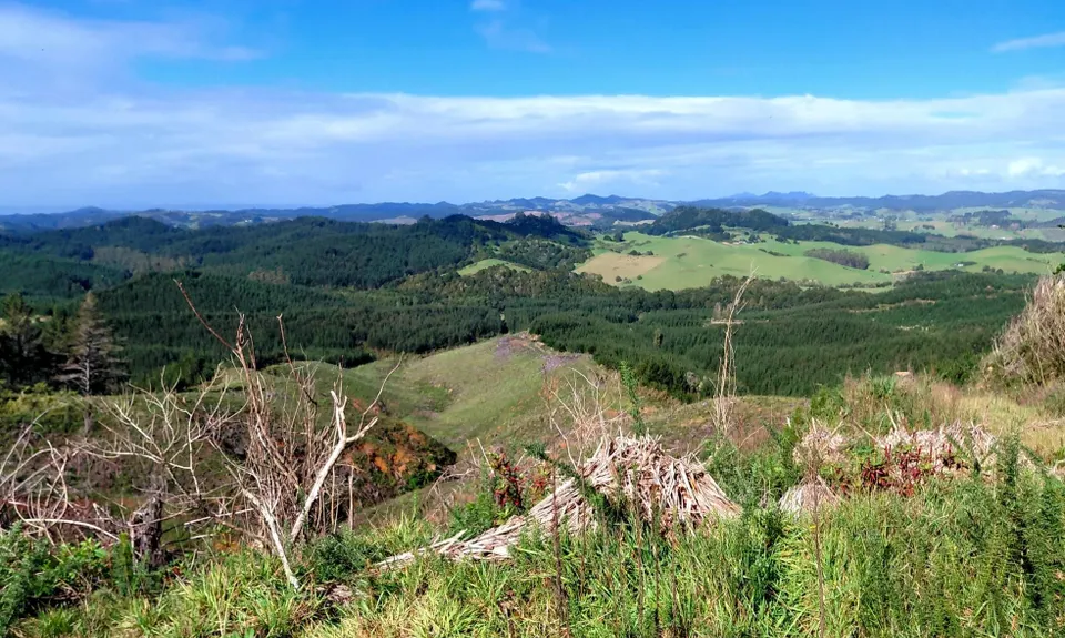 Marua Loop, Northland