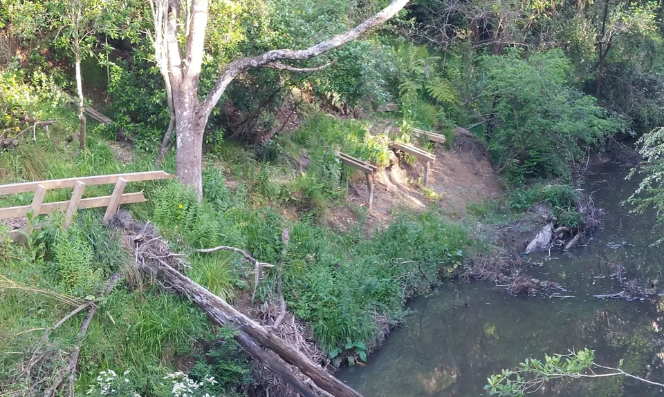 Massey Uni Totara Forest River Loop, Auckland