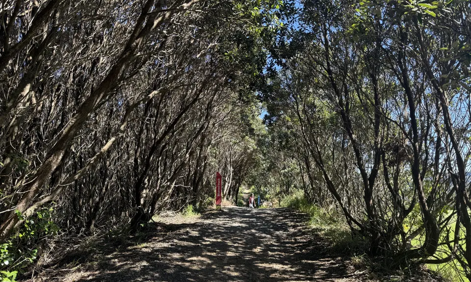 Matairangi Loop, Wellington