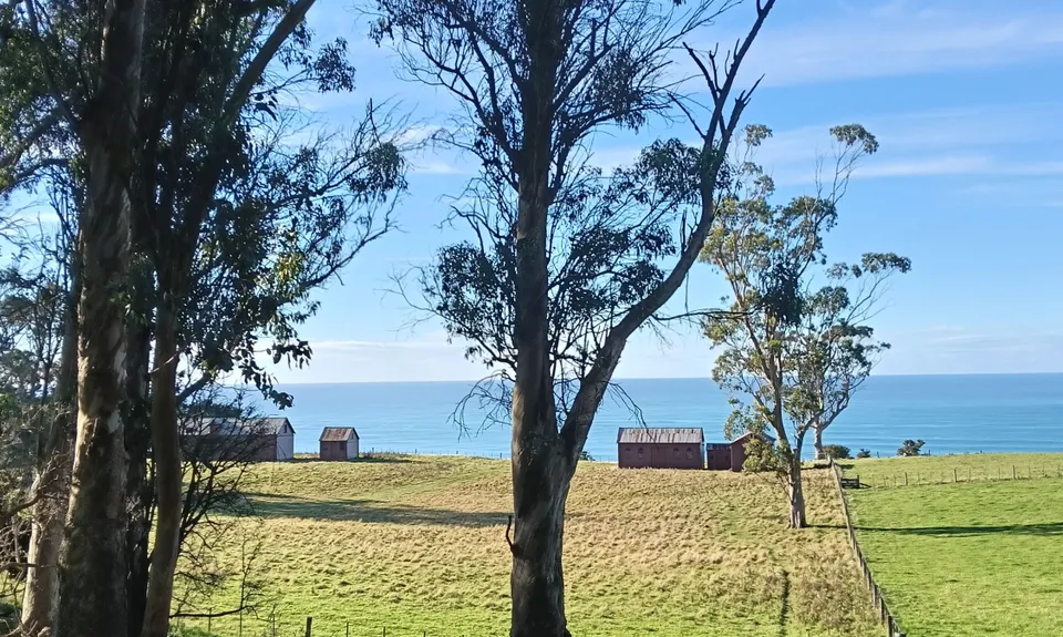 Matanaka Meander, Otago