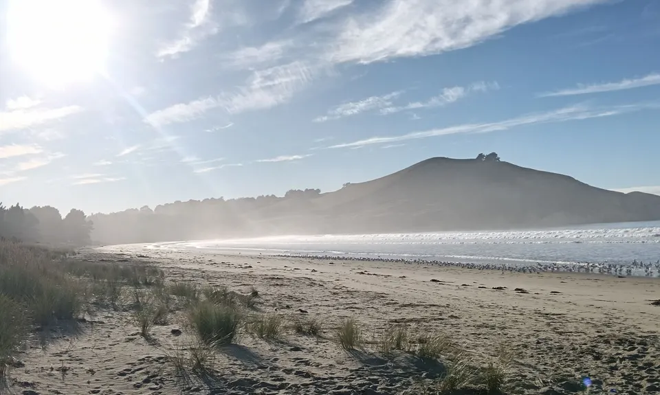Matanaka Meander, Otago