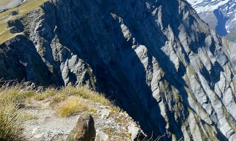 Matukituki Cascade Saddle Dart Epic, Otago
