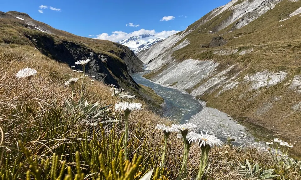 Matukituki Cascade Saddle Dart Epic, Otago