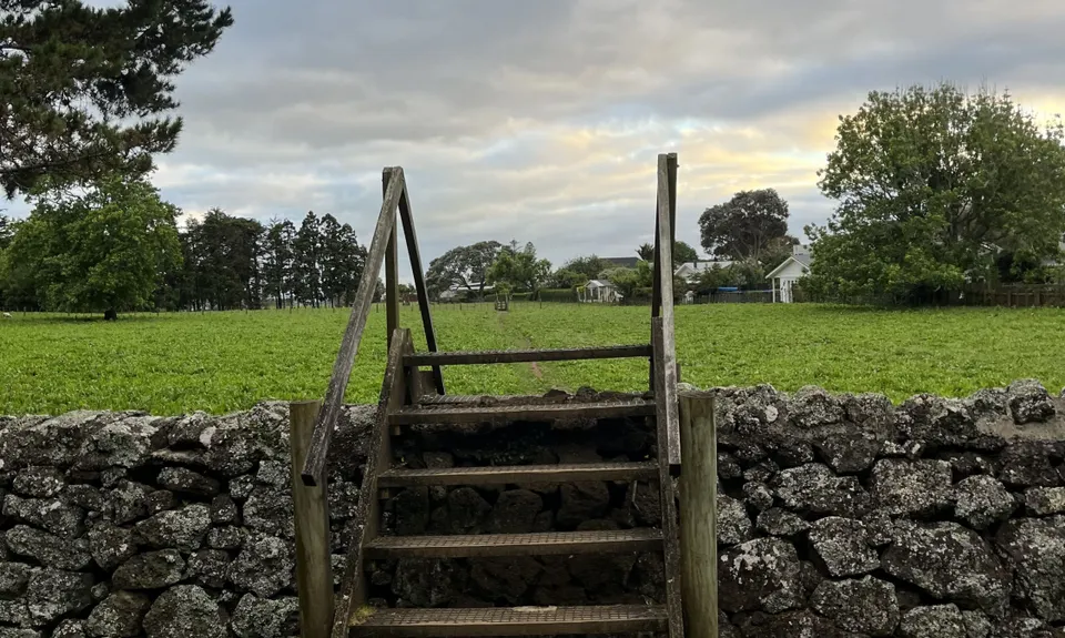 Maungakiekie Loop with a Cherry on Top, Auckland