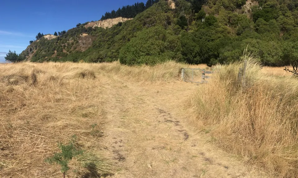 Manuka Bay Track, Canterbury