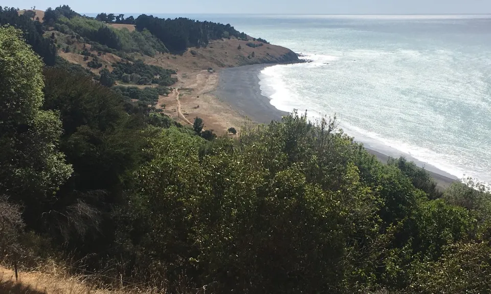 Manuka Bay Track, Canterbury