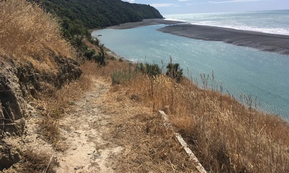 Manuka Bay Track, Canterbury