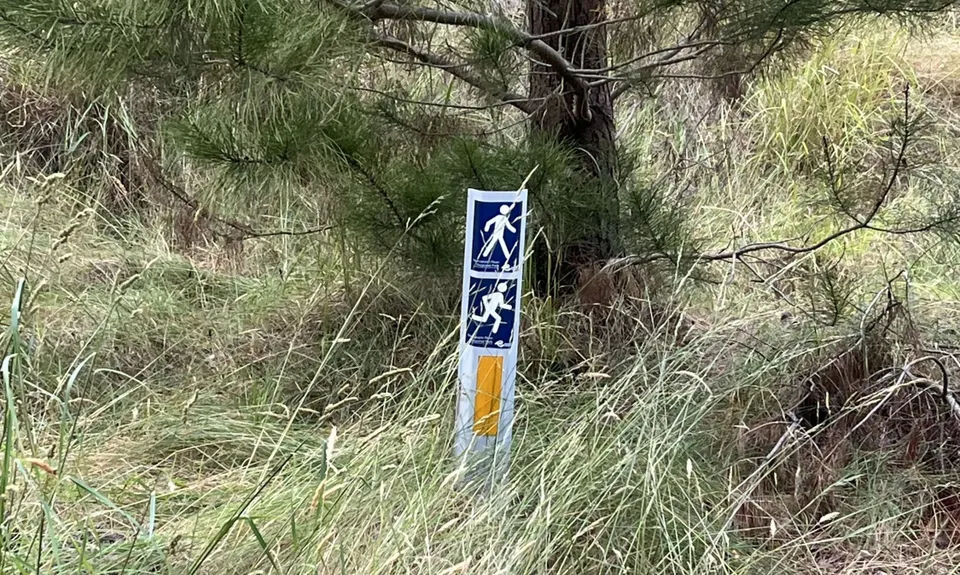 McLeans Meander, Canterbury