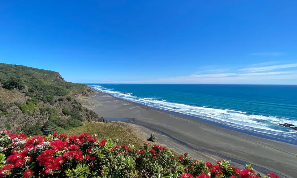 Mercer Bay Magic, Auckland