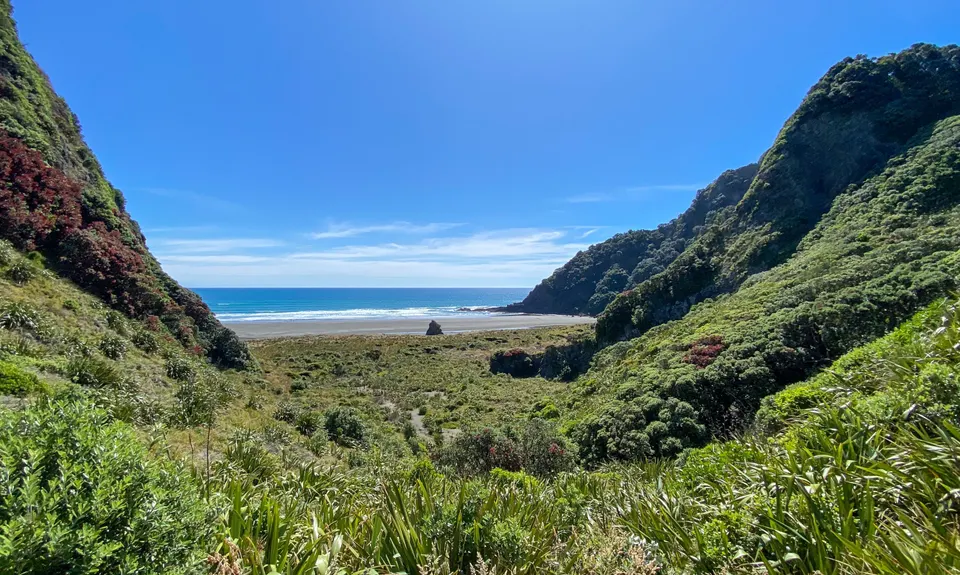 Mercer Bay Magic, Auckland