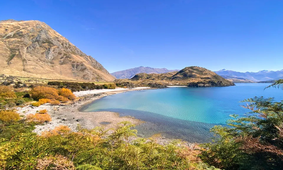 Millennium Track: Glendhu Bay to Wānaka Tree, Otago