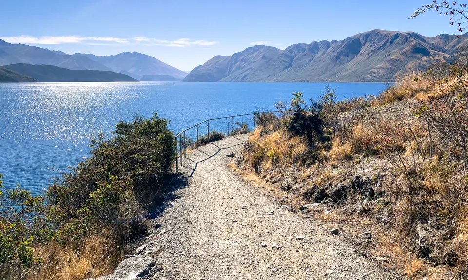 Millennium Track: Glendhu Bay to Wānaka Tree, Otago
