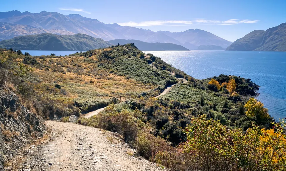 Millennium Track: Glendhu Bay to Wānaka Tree, Otago
