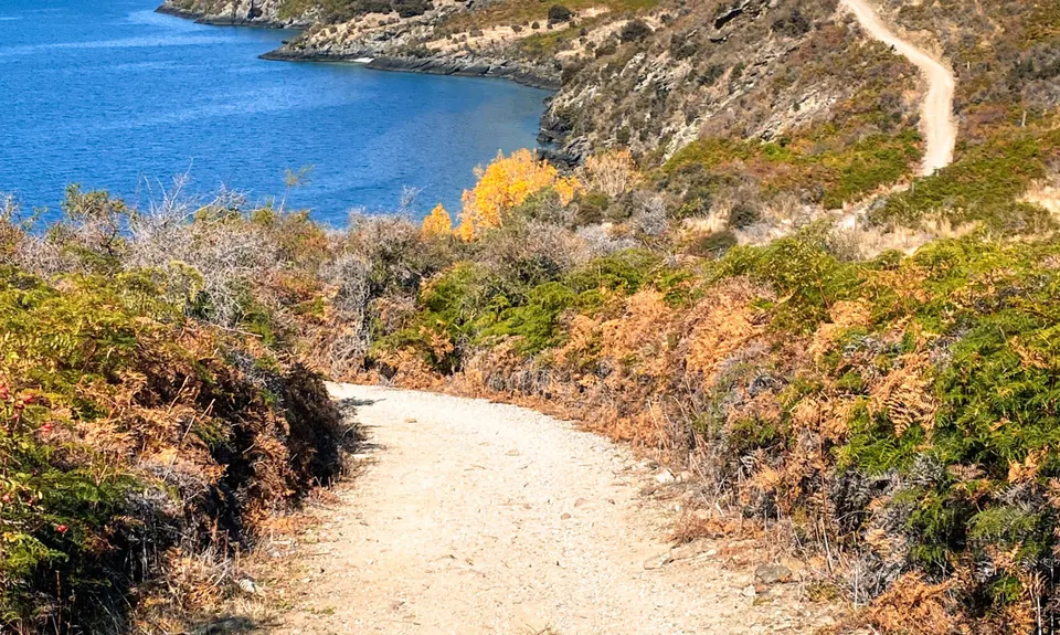 Millennium Track: Glendhu Bay to Wānaka Tree, Otago