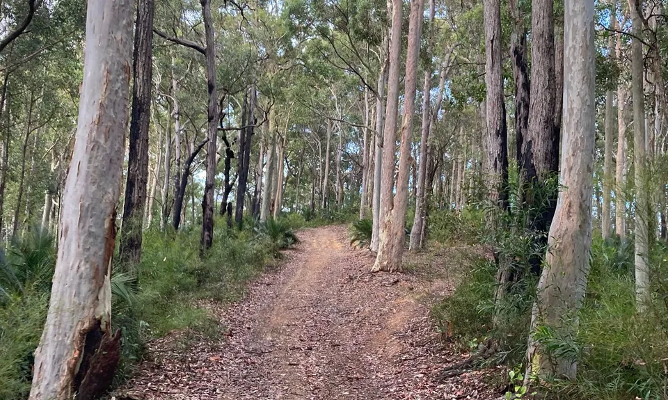 Mogo Trig was never so popular, New South Wales