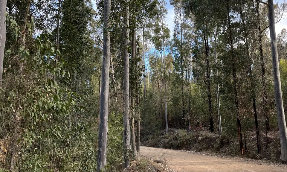 Mogo Trig was never so popular, New South Wales