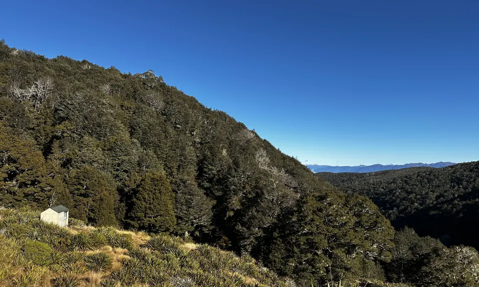Mole Jamieson Loop, Tasman
