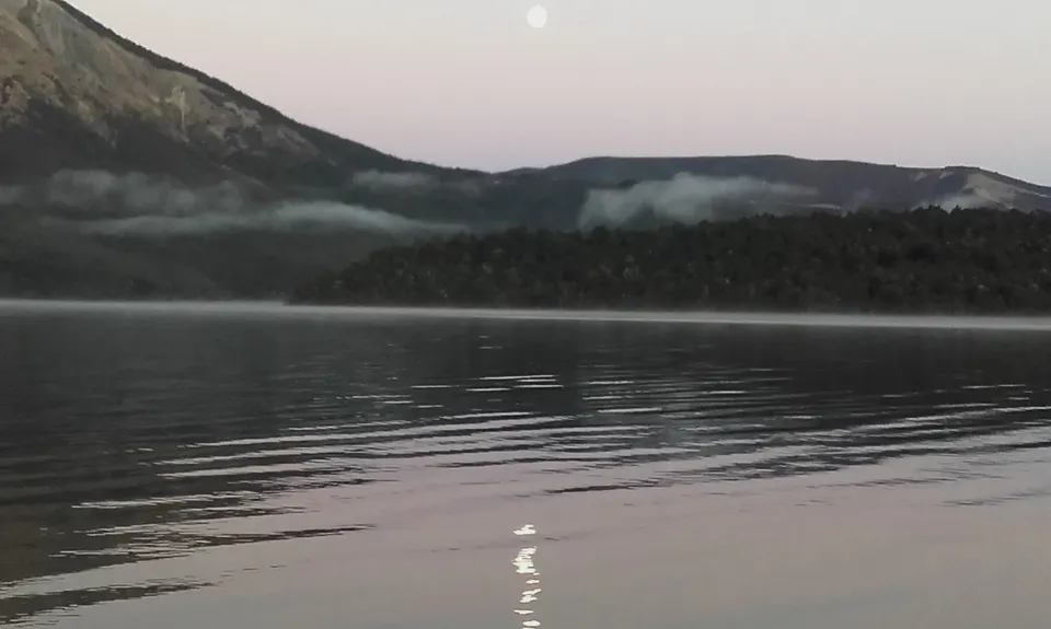 Rotoiti Loop The Lake, Tasman
