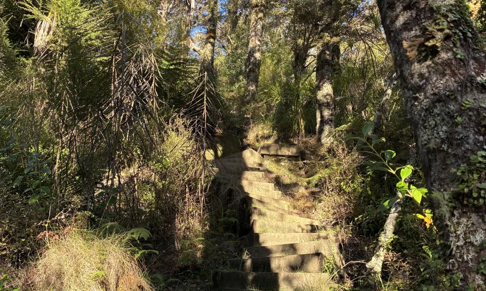 Morere Springs Scenic Smorgasbord, Hawkes Bay