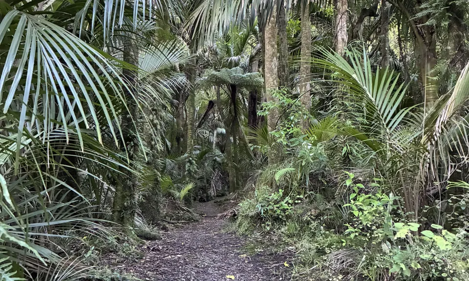 Morere Springs Scenic Smorgasbord, Hawkes Bay