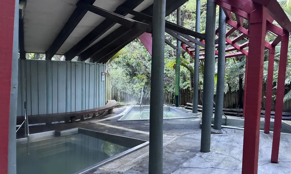 Morere Springs Scenic Smorgasbord, Hawkes Bay