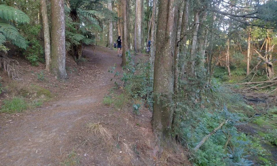 Morrinsville Gully & River Run, Waikato
