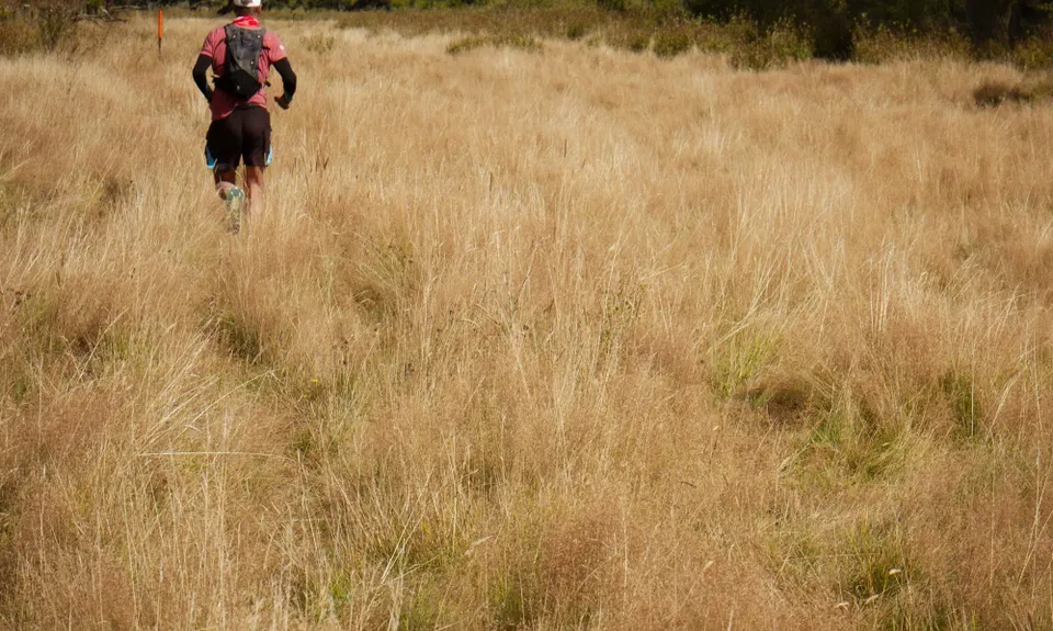 Motatapu River Track, Otago