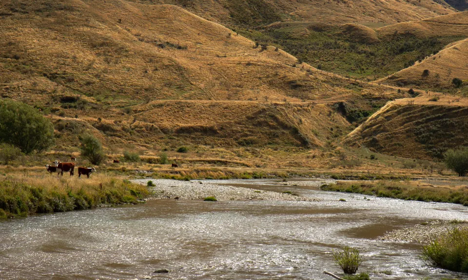 Motatapu River Track, Otago
