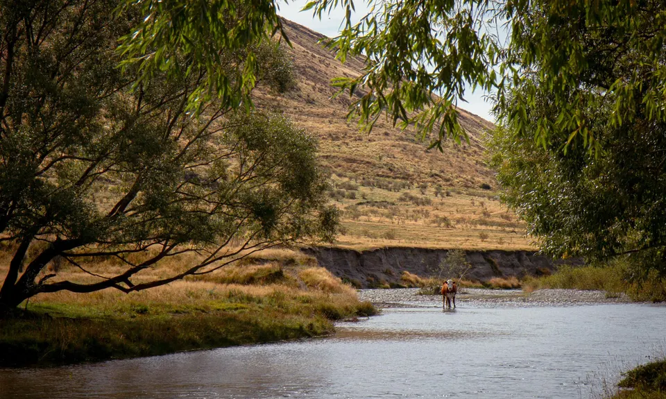 Motatapu River Track, Otago