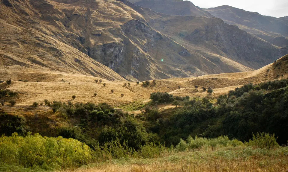 Motatapu River Track, Otago