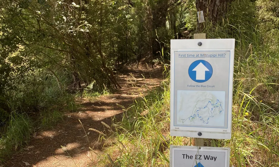 Motupipi Hill, Tasman