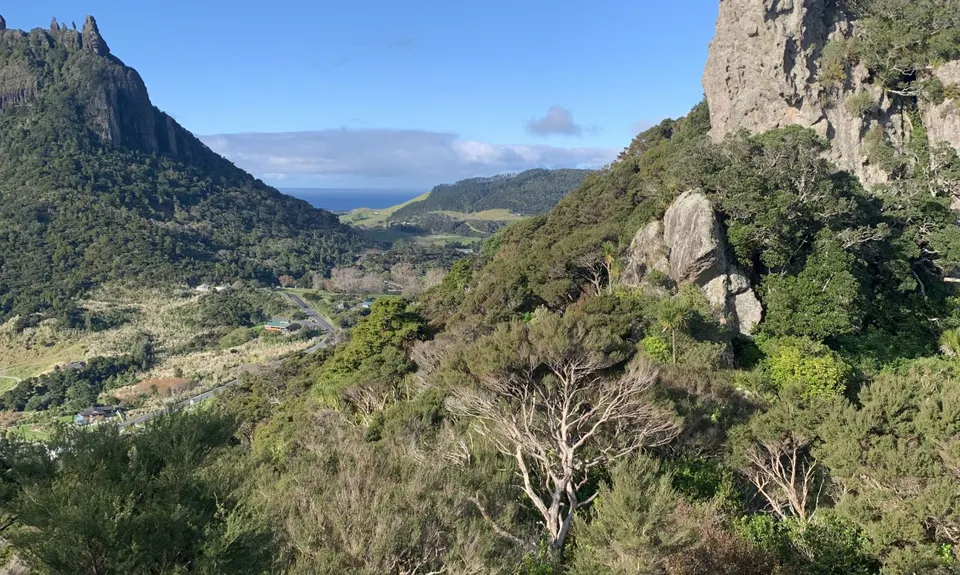 Mount Aubrey Loop, Northland