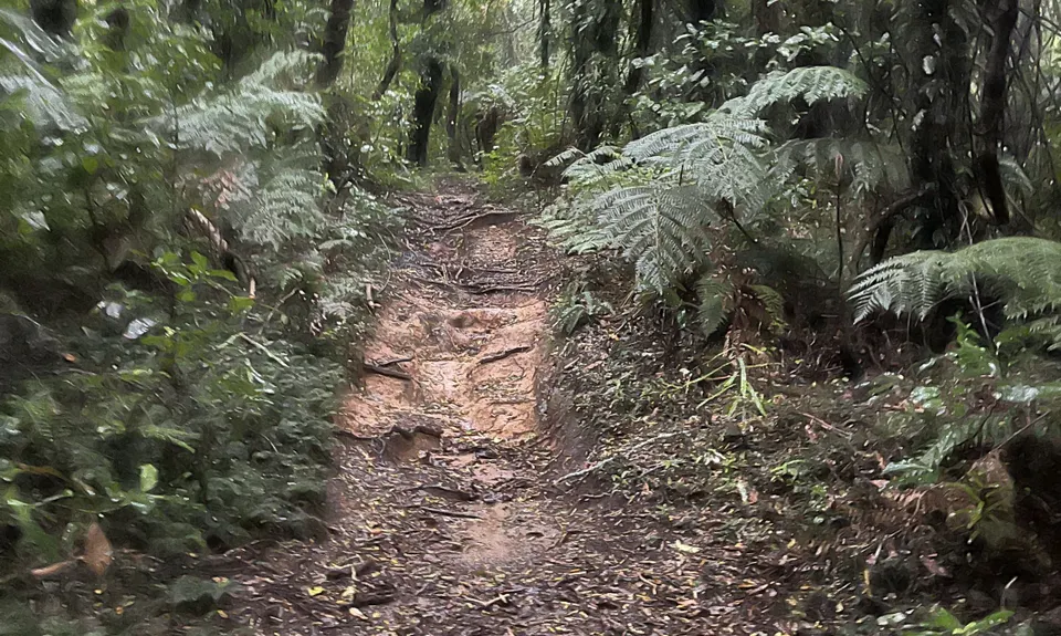 Mount Ngongotaha , Bay of Plenty