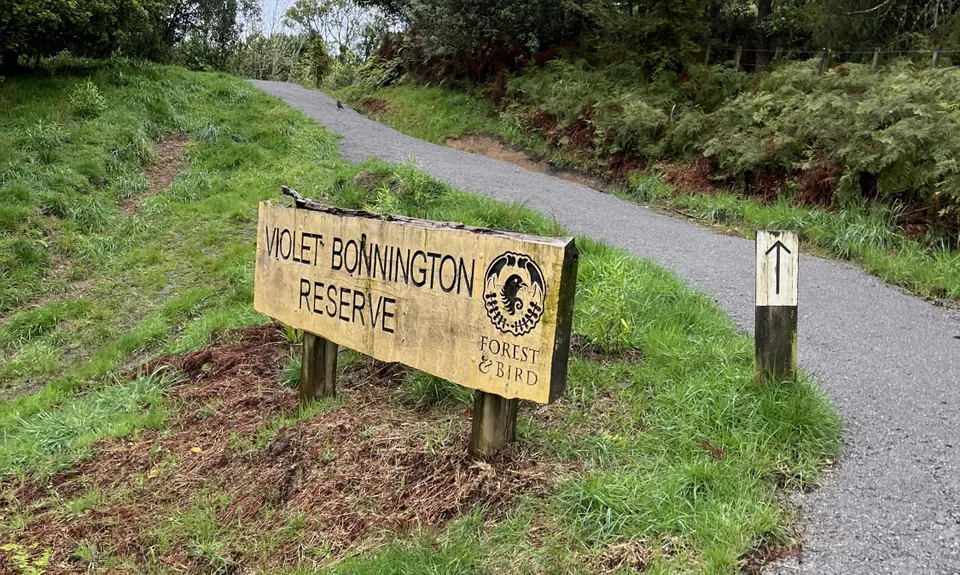 Mount Ngongotaha , Bay of Plenty