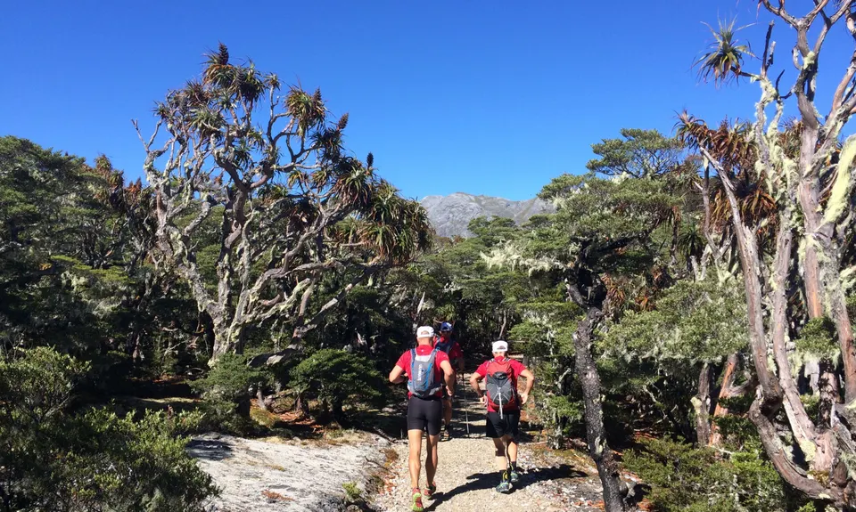 Mt Arthur Up & Back, Tasman