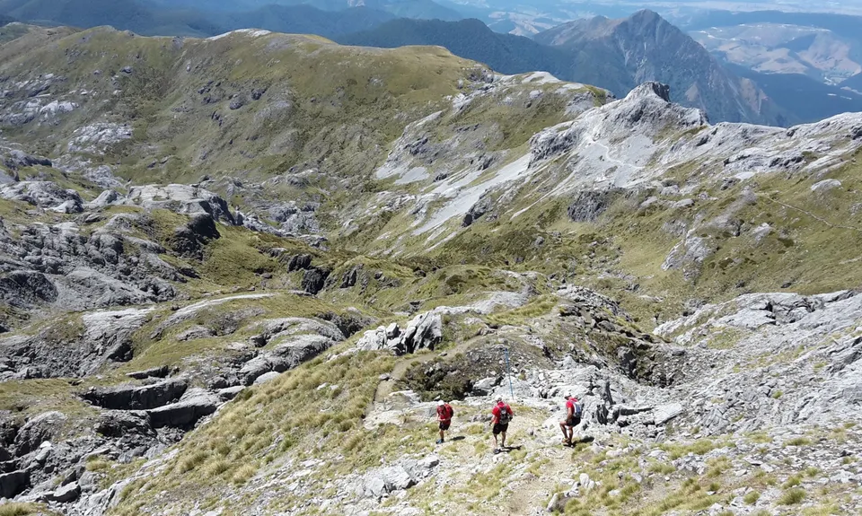 Mt Arthur Up & Back, Tasman