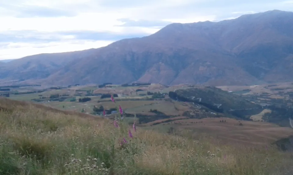 Beat Beetham , Otago