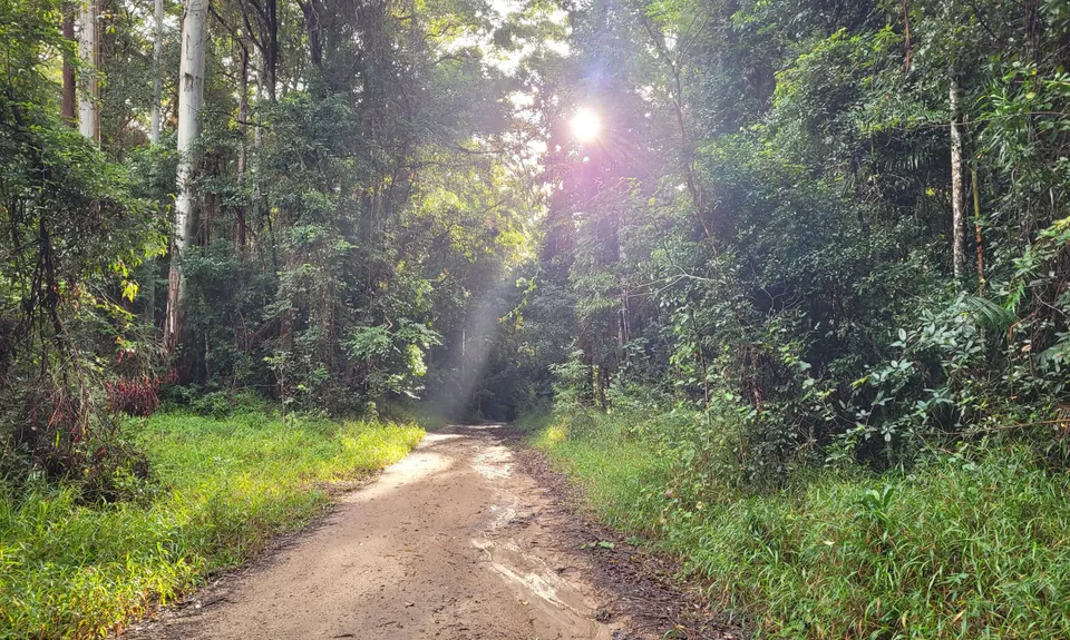 Mt Boulder Circuit, Queensland