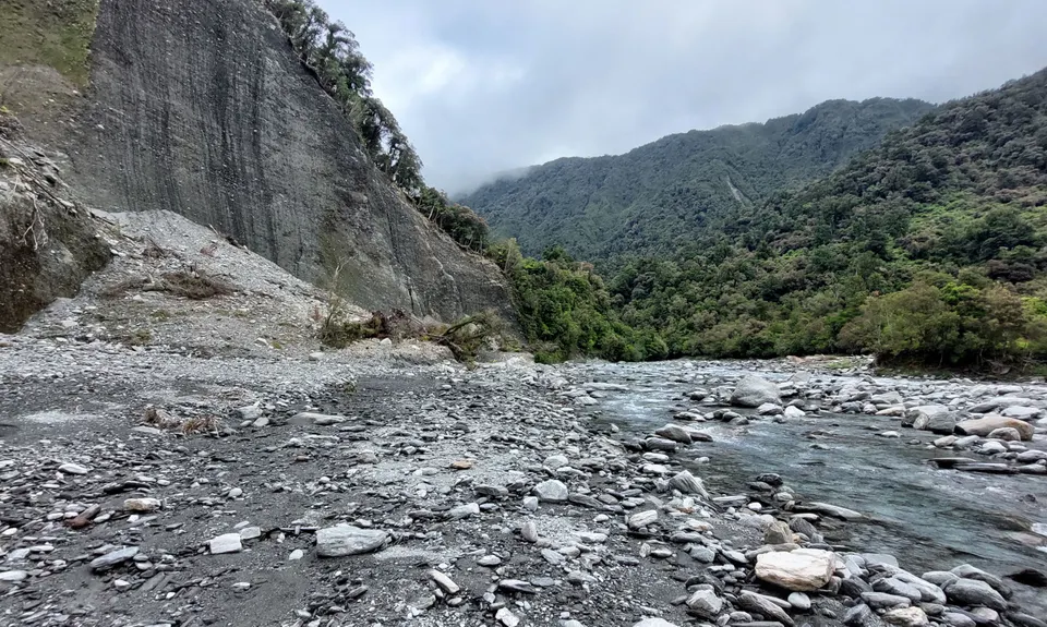 Mt Brown Bonanza, West Coast