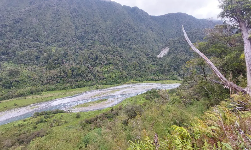 Mt Brown Bonanza, West Coast