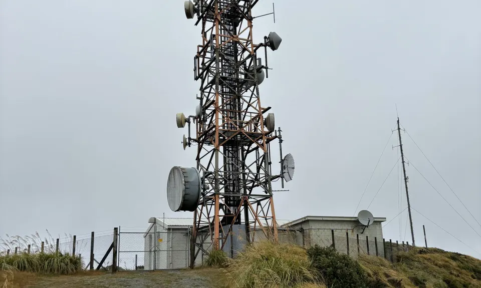 Mt Climie & Tane's Track, Wellington