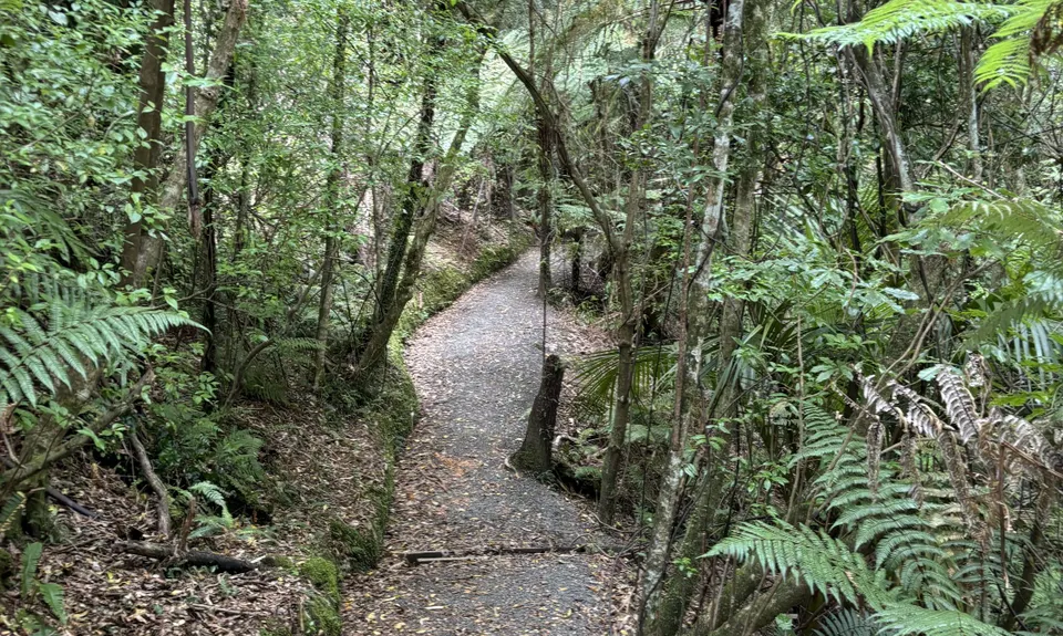 Mt Climie & Tane's Track, Wellington
