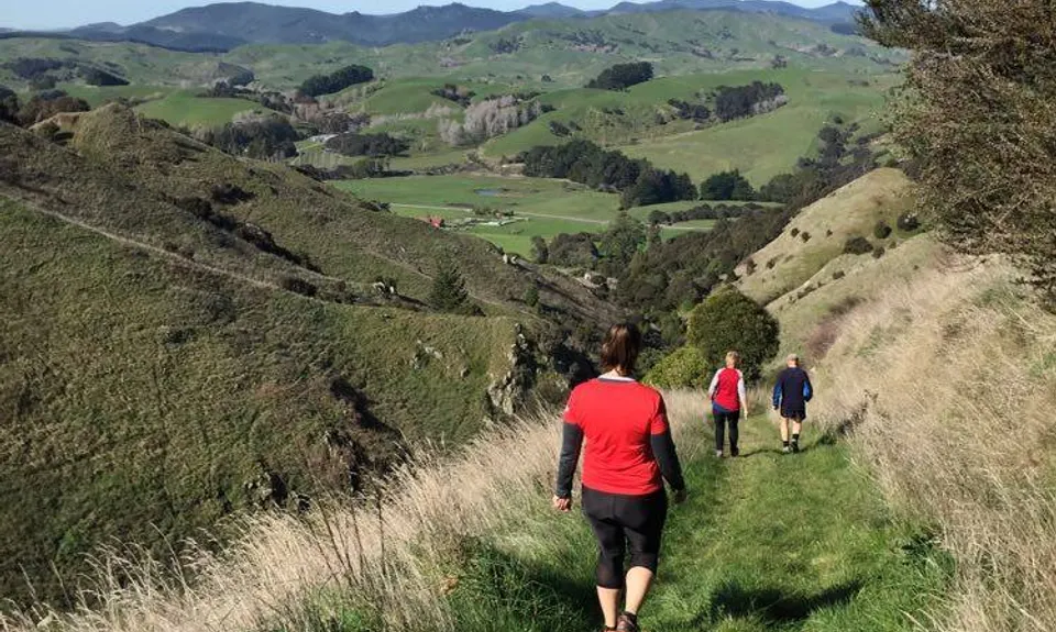 Mt Clyde, Manawatu - Wanganui