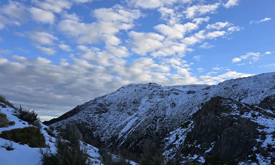 Mt Dumblane, Canterbury