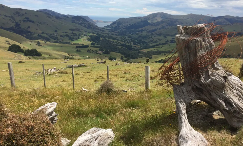 Mt Fitzgerald & Mt Sinclair , Canterbury