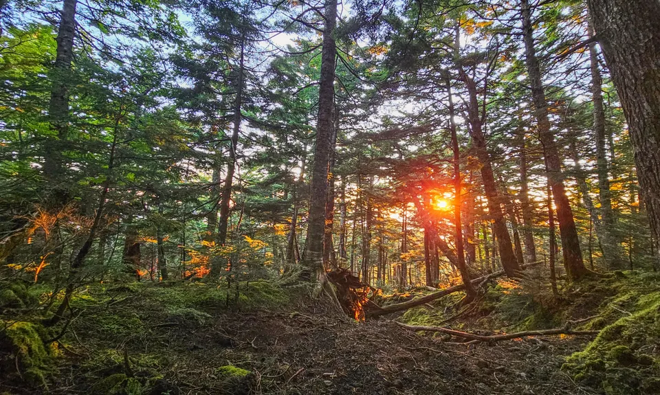 Mt Fuji (Yoshida Trail), Japan
